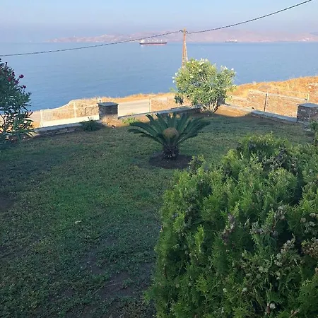 Dreamy Sunsets Faros