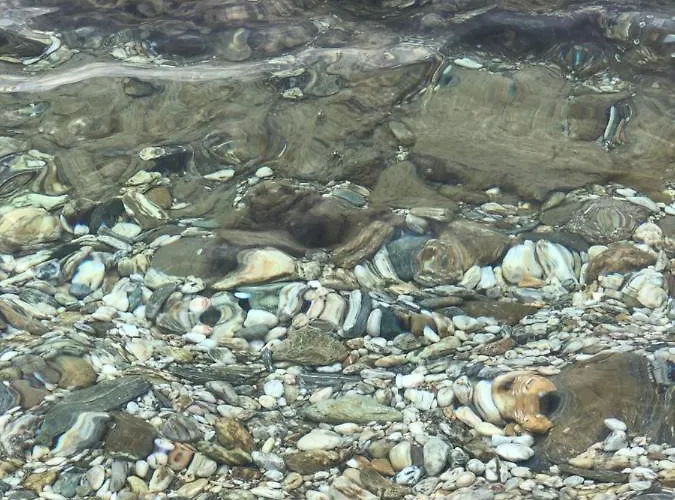 Dreamy Sunsets Faros *